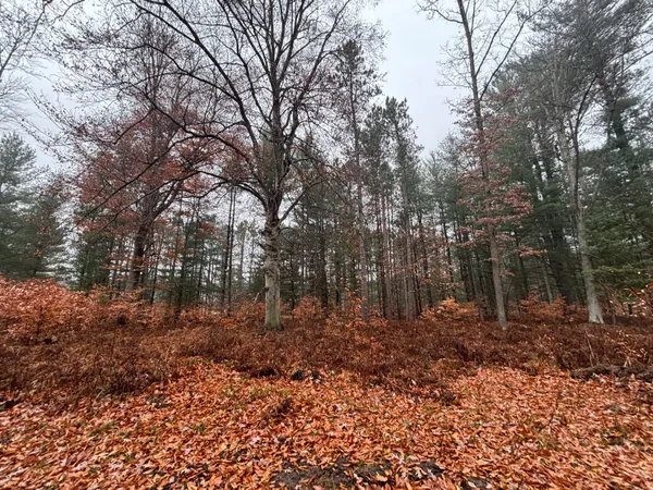 $139,900 | 6270 Woods Trail, Custer, MI 49405