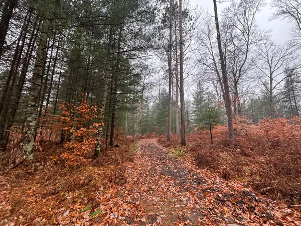 $139,900 | 6270 Woods Trail, Custer, MI 49405