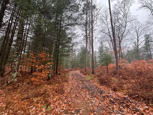 $139,900 | 6270 Woods Trail, Custer, MI 49405