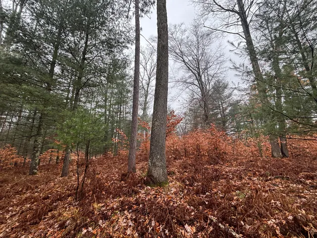 $139,900 | 6270 Woods Trail, Custer, MI 49405