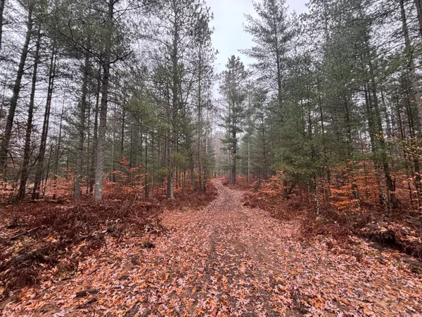 $139,900 | 6270 Woods Trail, Custer, MI 49405