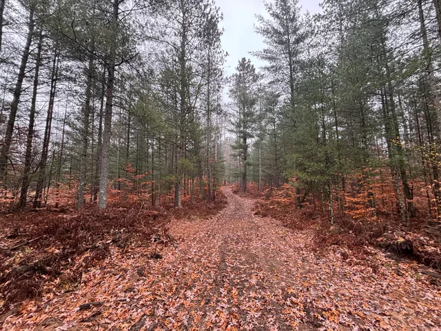 $139,900 | 6270 Woods Trail, Custer, MI 49405