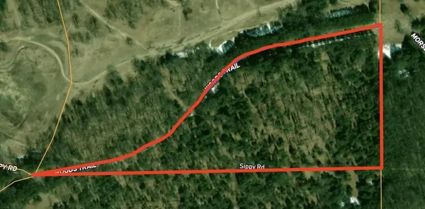 $139,900 | 6270 Woods Trail, Custer, MI 49405