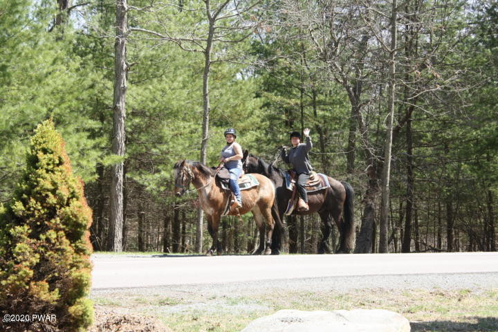 172 Pebble Rock Road Lackawaxen, PA 18435 - Photo 43 of 49 Equestrians