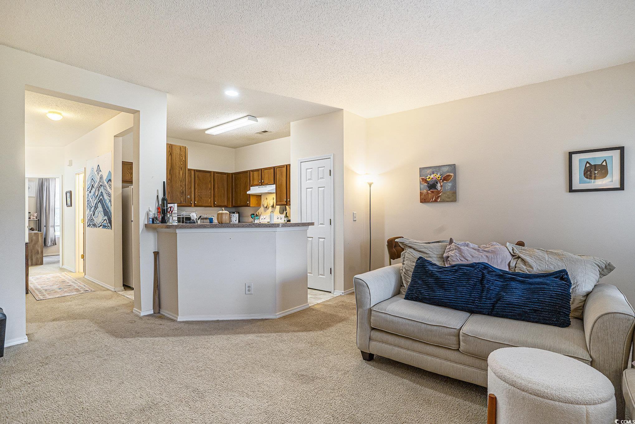 310 Kiskadee Loop, Unit B Conway, SC 29526 - Photo 8 of 31