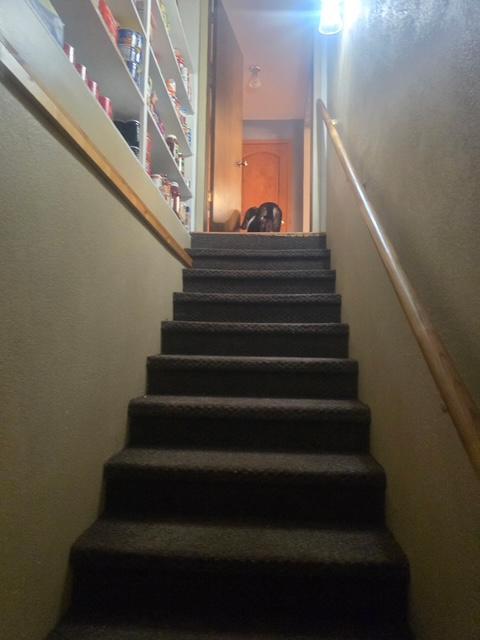 8645 Olsen Road Webster, WI 54893 - Photo 19 of 30