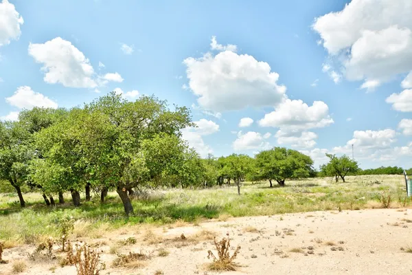 $175,000 | Lot 2 Rr 479, Harper, TX 78631