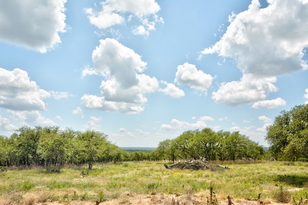Lot 2 Rr 479 Harper, TX 78631 - Photo 4 of 4