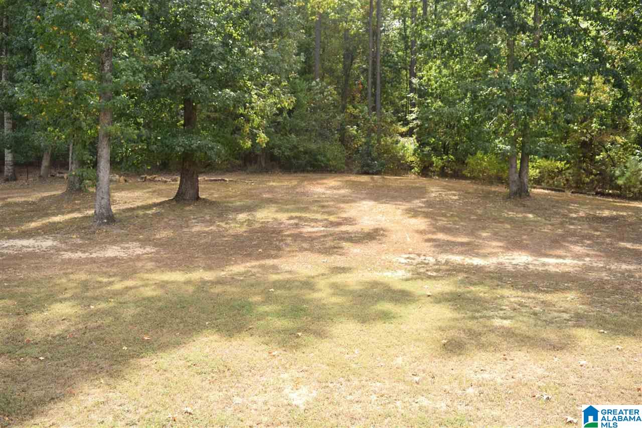 8482 Shady Trail Helena, AL 35022 - Photo 5 of 49