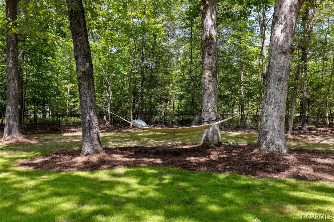6286 McClellan Road Mechanicsville, VA 23111 - Photo 24 of 29 a view of a park with large trees