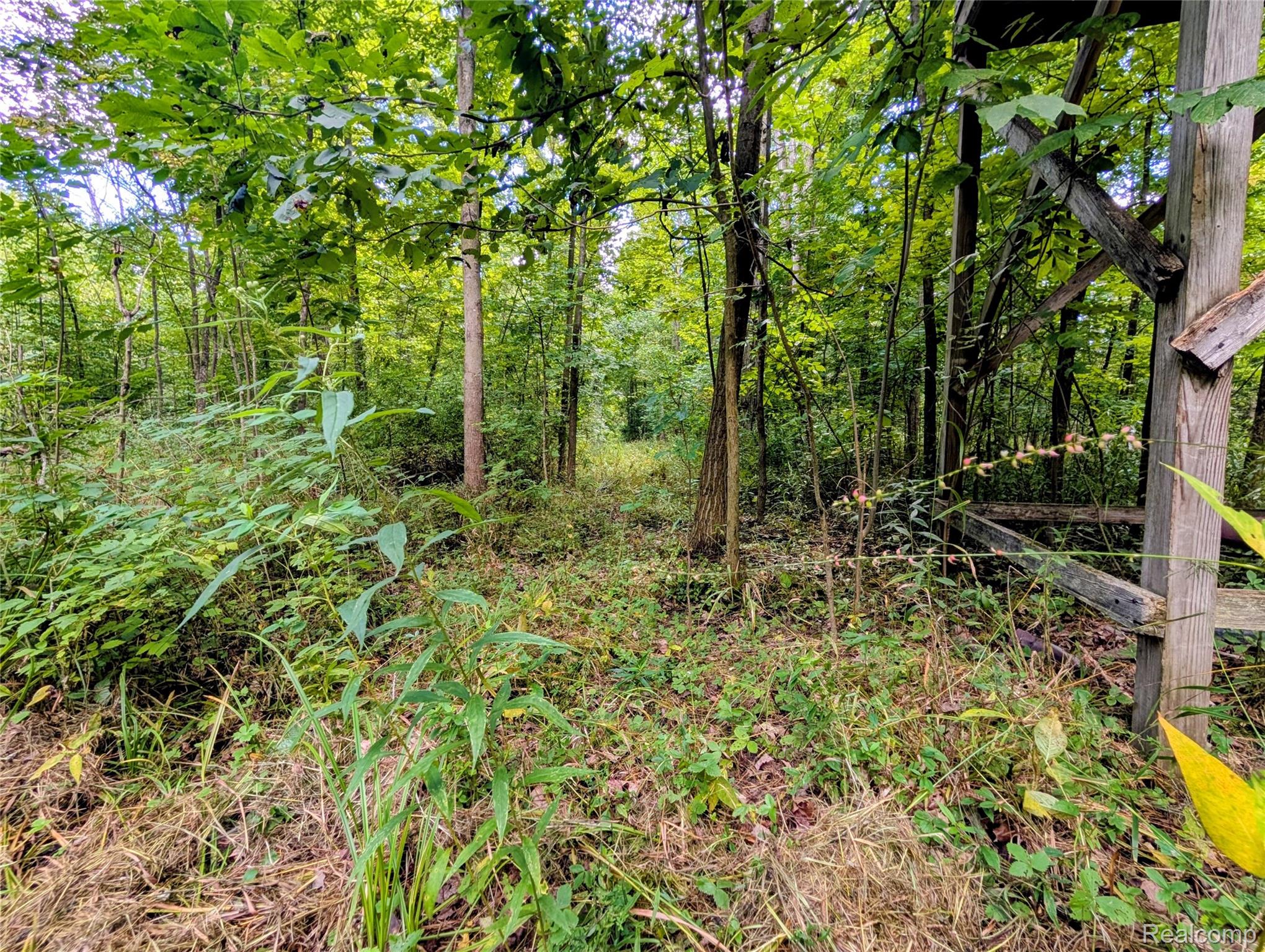0 South Maywood Road Ashley, MI 48806 - Photo 26 of 32 PXL_20250829_181703385.MP~2.jpg
