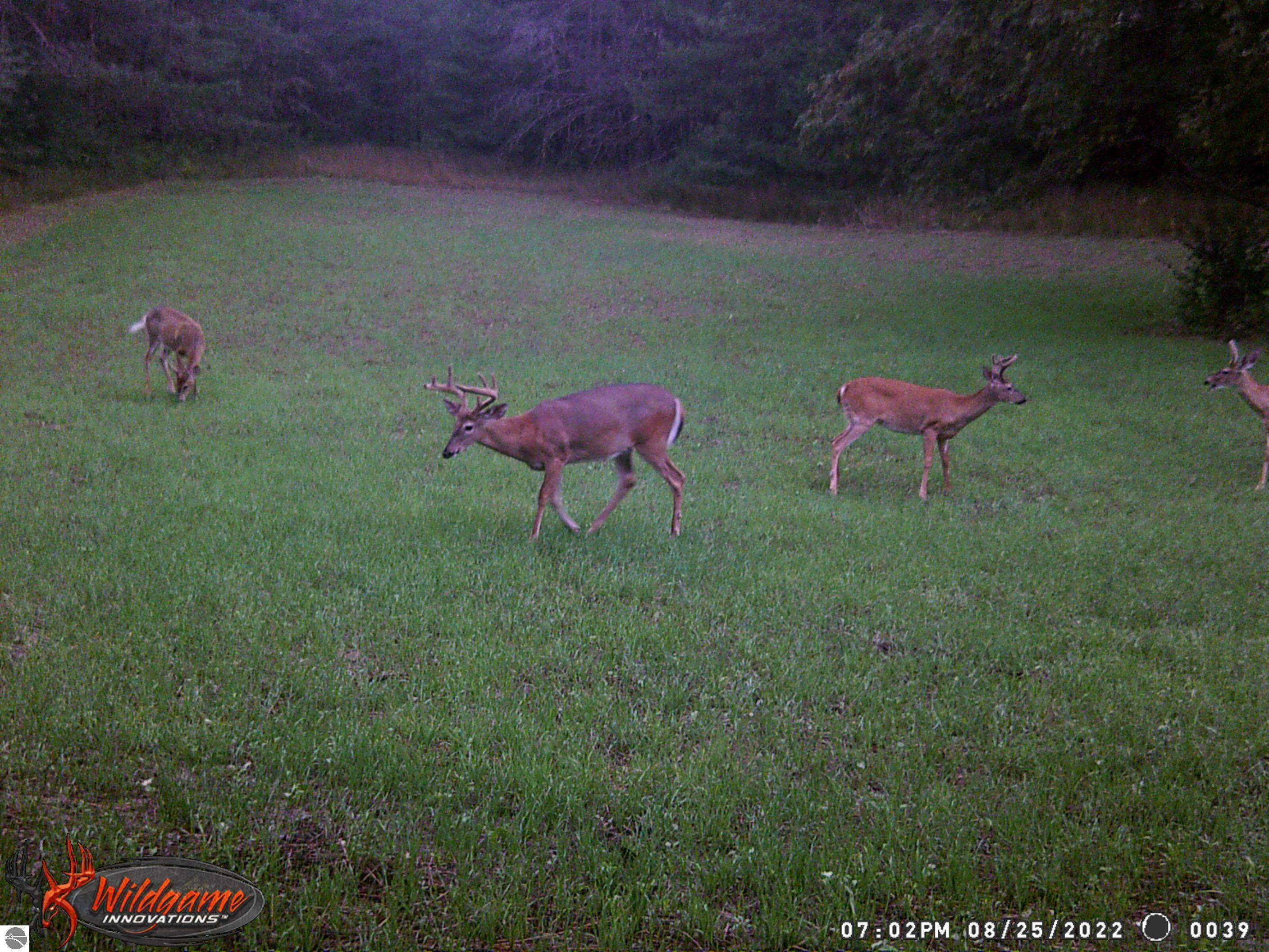 18 East 1/2 Road Manton, MI 49663 - Photo 8 of 13