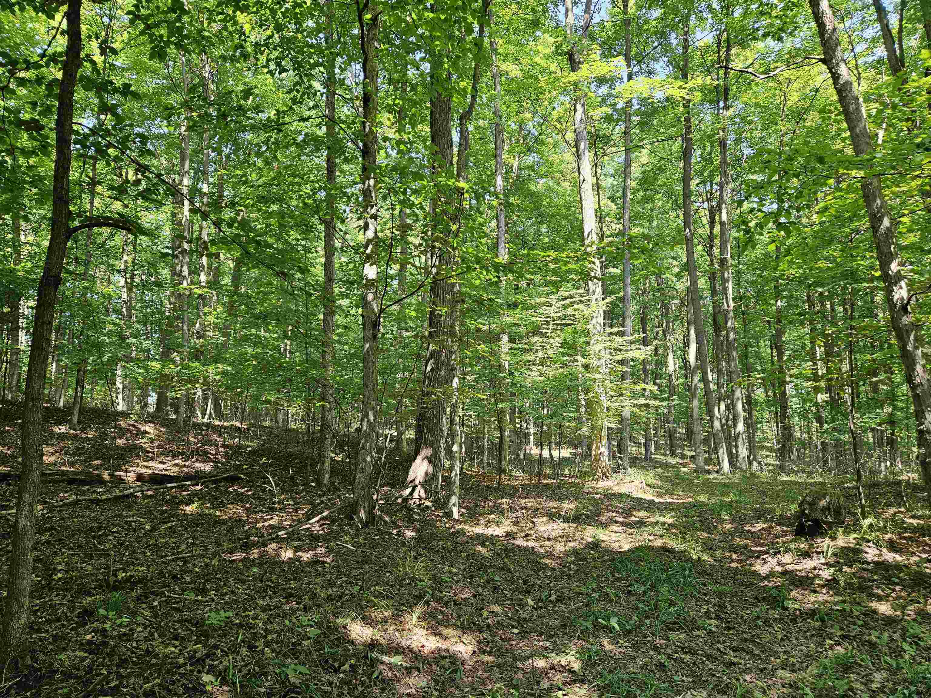 Tbd Tbd Willsey Road Traverse City, MI 49696 - Photo 7 of 22