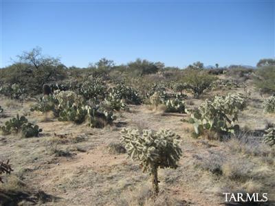 13771 West Hunt Road Tucson, AZ 85736 - Photo 7 of 11