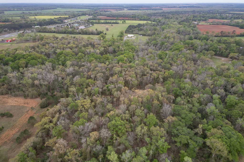 3-acres Singletary Road Slocomb, AL 36375 - Photo 15 of 15
