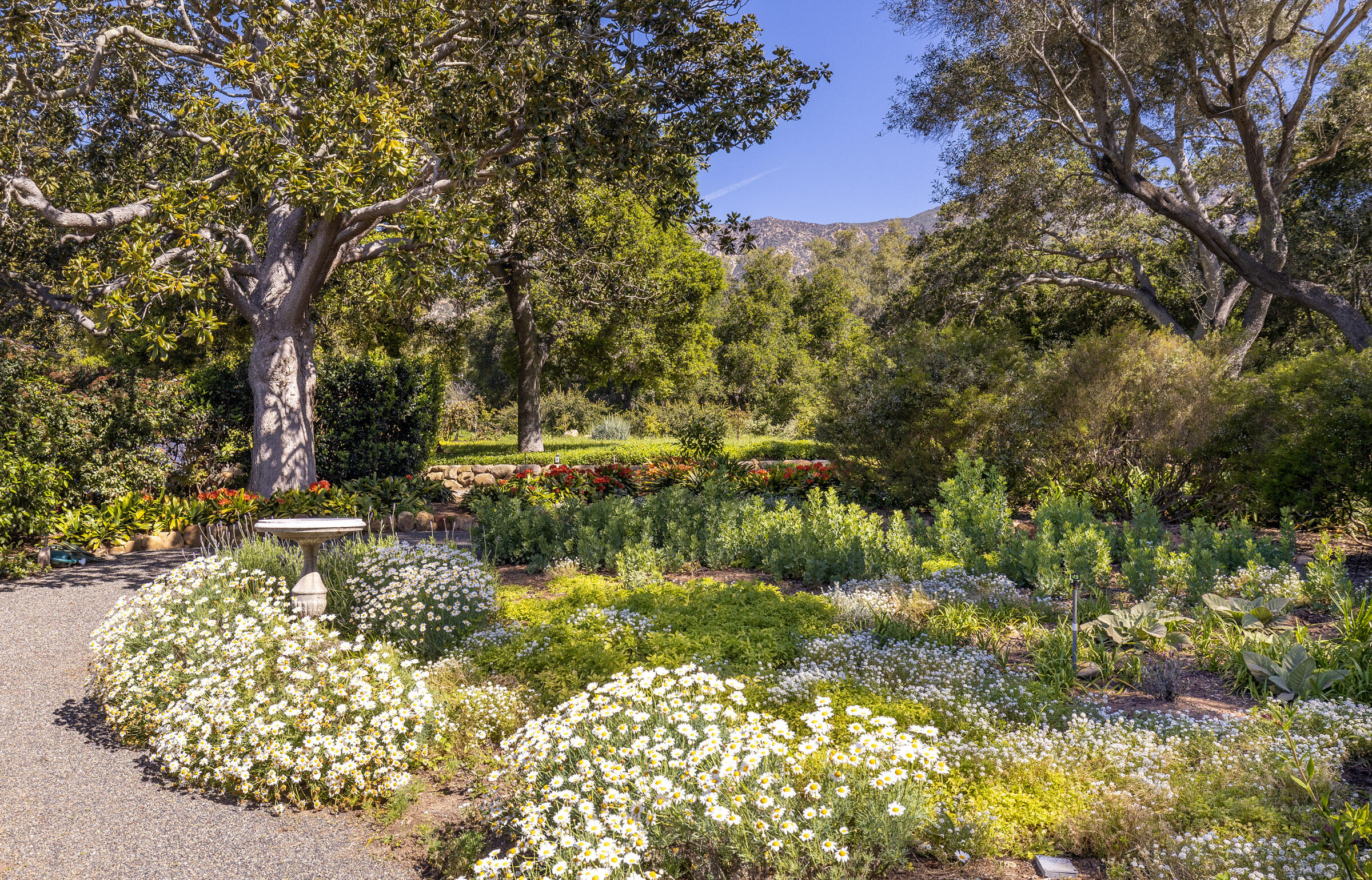 645-675 Olive Road Montecito, CA 93108 - Photo 20 of 34 a view of backyard with green space