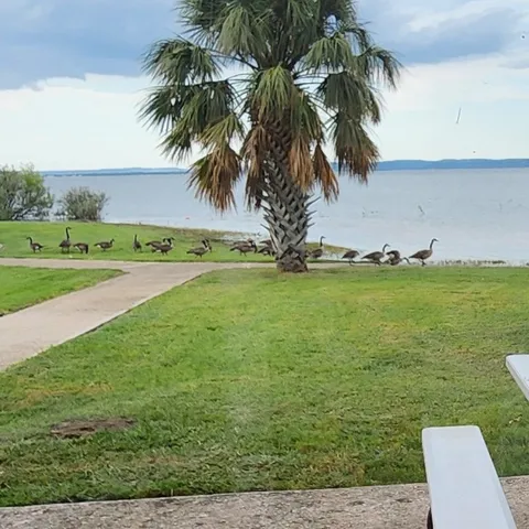 an aerial view of a house with a yard and lake view
