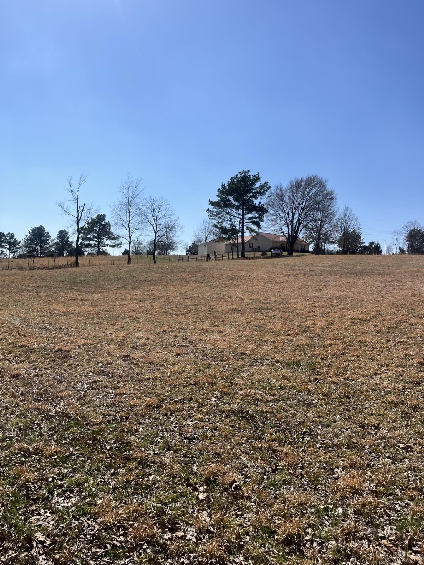0 Bruce Road North Whiteville, TN 38075 - Photo 10 of 11 View of yard featuring a rural view