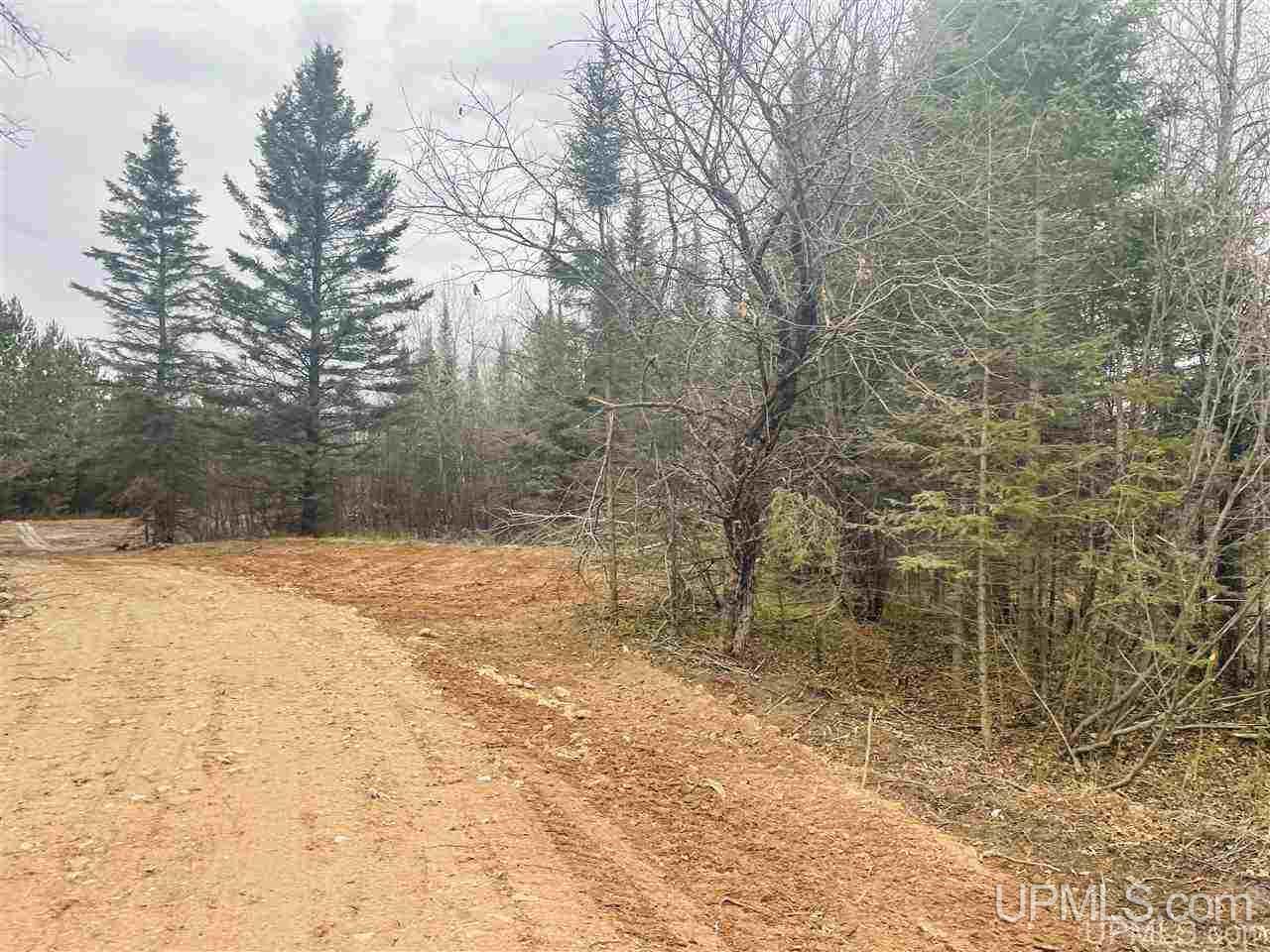 Tbd St Nicholas Road Rock, MI 49880 - Photo 2 of 22