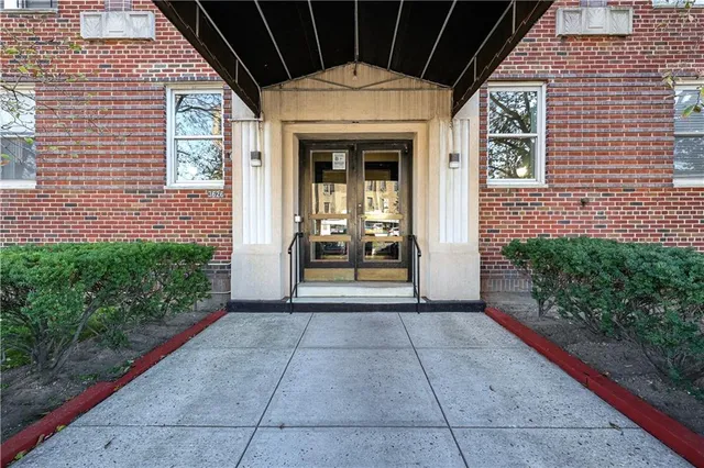 a view interior of the house with plants