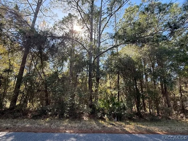 $10,500 | 4280 East Nugget Pass Place, Dunnellon, FL 34434