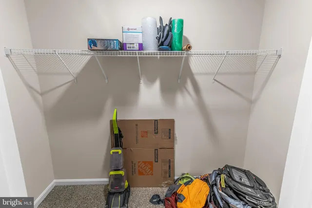 a close view of shoes