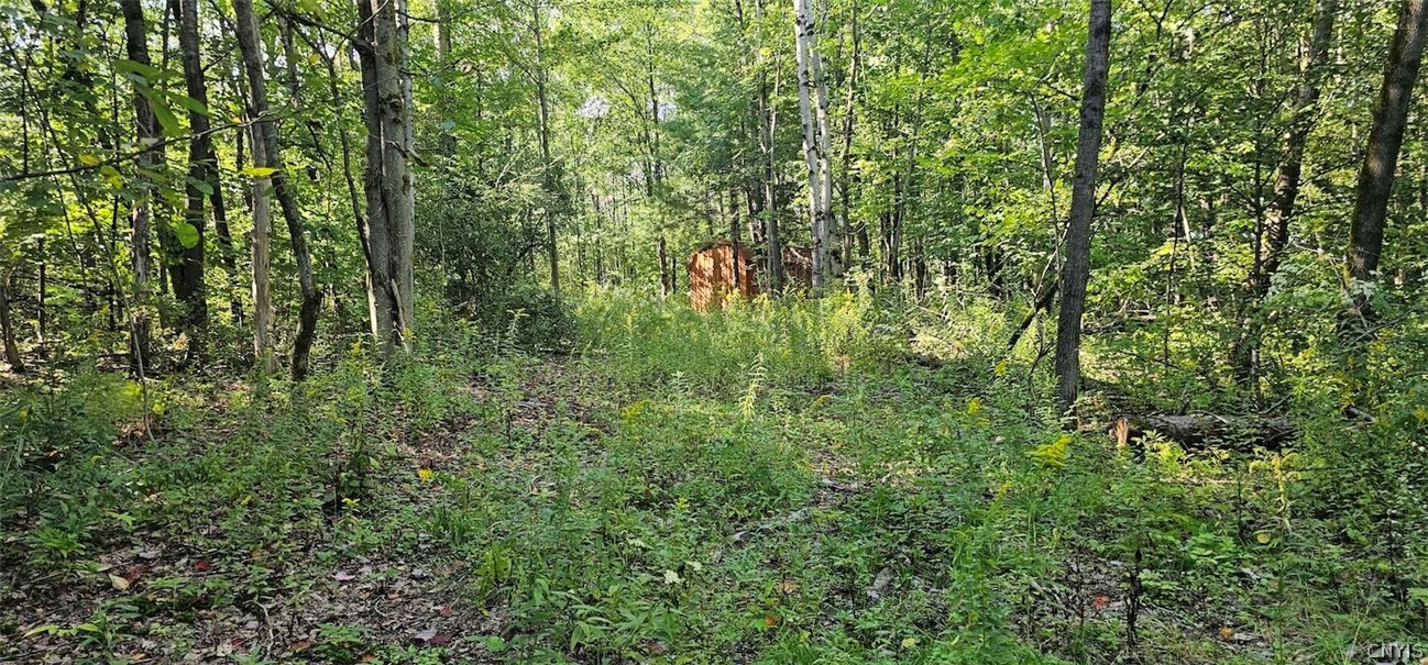 Creamery Road Richford, NY 13835 - Photo 13 of 35 Gallery Image 13