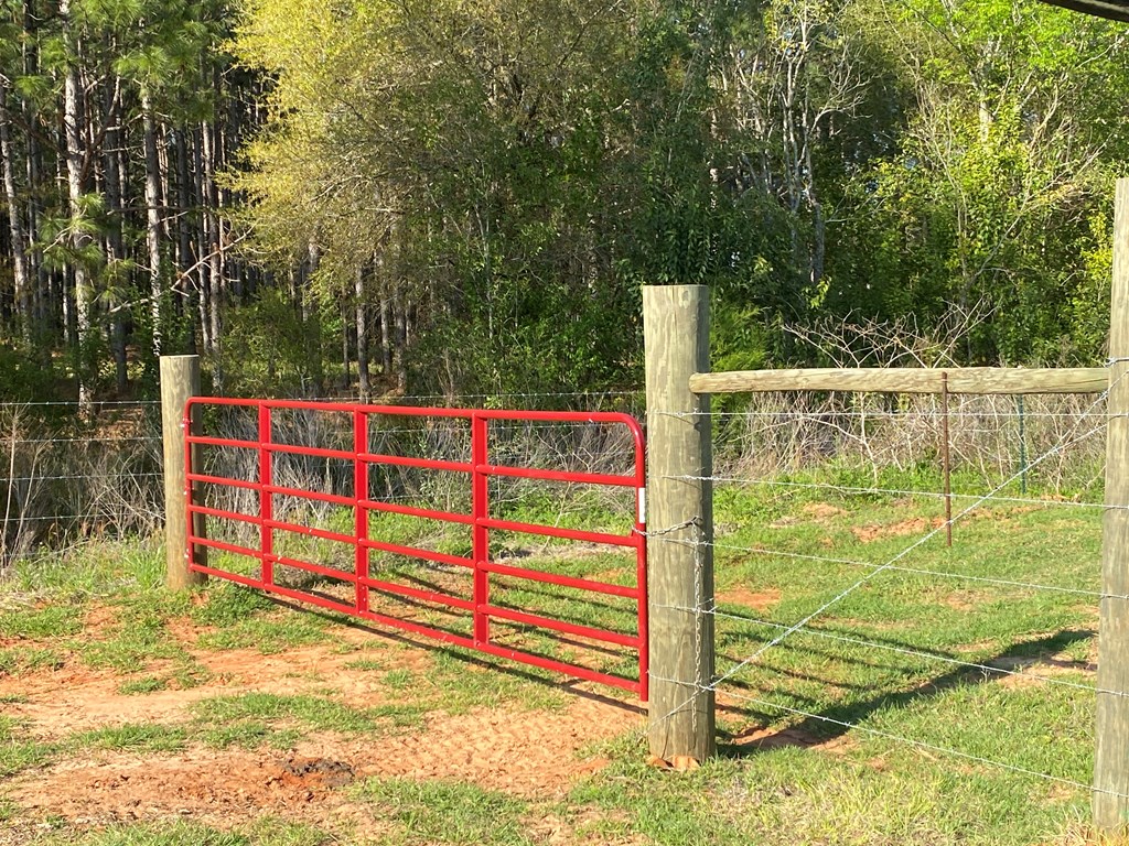 0 Co Road Abbeville, AL 36310 - Photo 47 of 53
