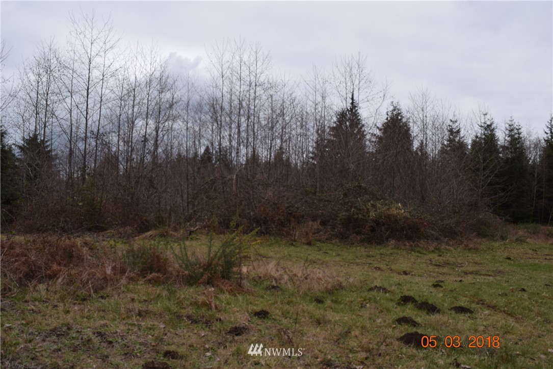0 Raymond South Bend Road Raymond, WA 98577 - Photo 4 of 5 Gallery Image 4
