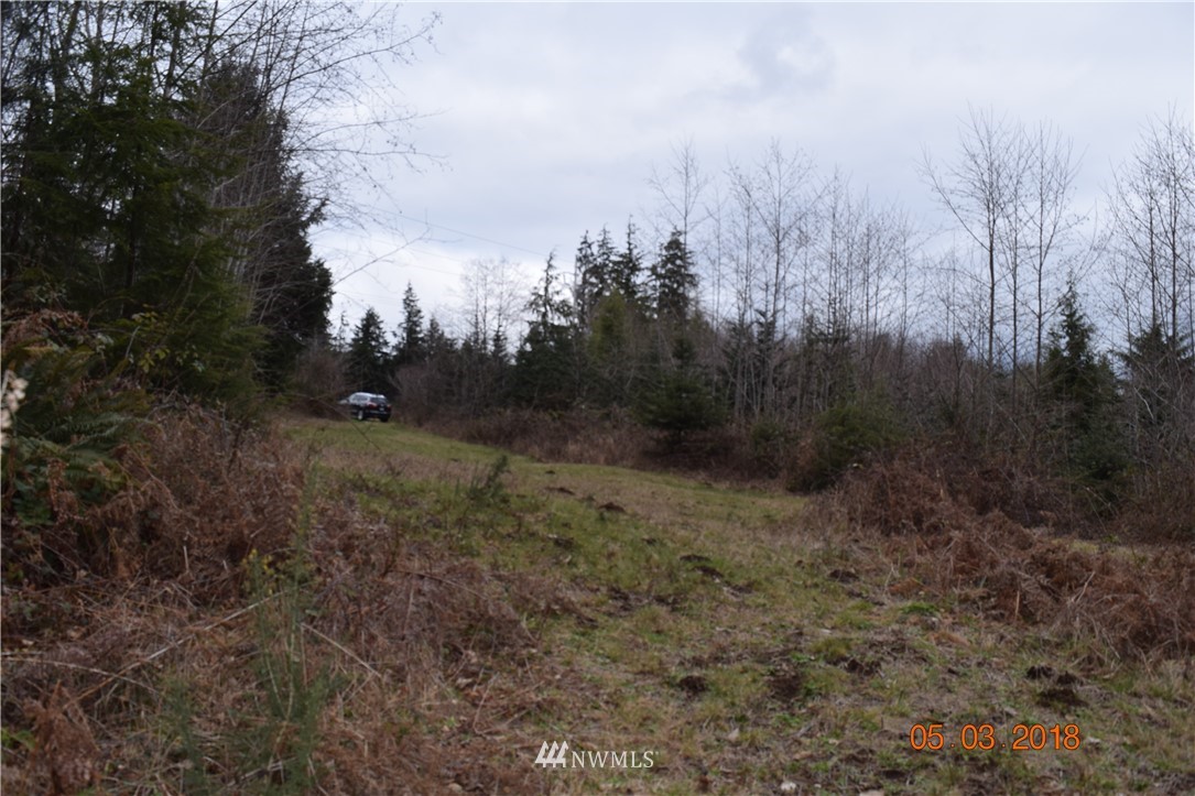 0 Raymond South Bend Road Raymond, WA 98577 - Photo 5 of 5 Gallery Image 5