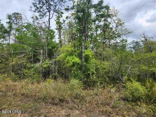 $8,900 | Xxx Northwest Xxx Nw Lake Center Road, Fountain, FL 32438