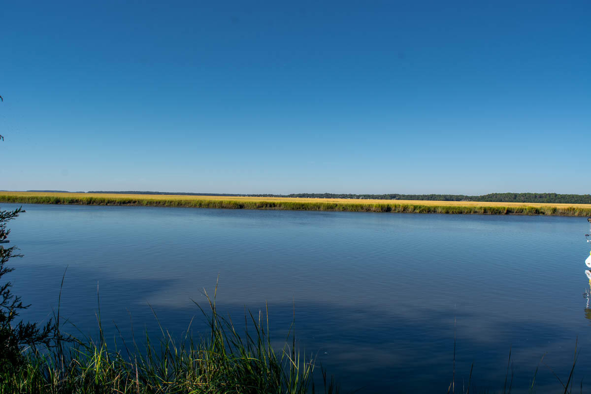 _DSC1969