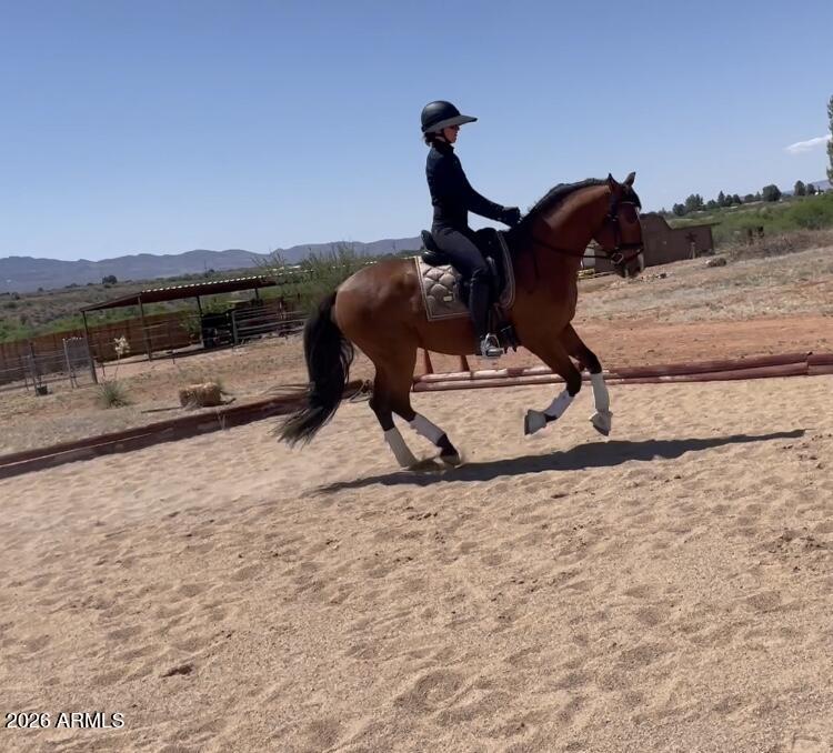 2770 South Country Hill Road Cornville, AZ 86325 - Photo 6 of 53 Train at Home