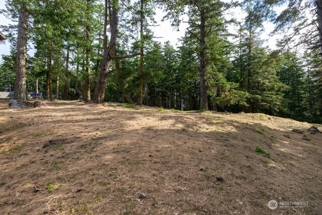 24 Mossyrock Road Friday Harbor, WA 98250 - Photo 1 of 31