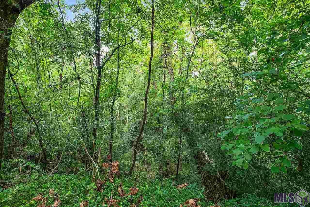 20325 Tucker Road Zachary, LA 70791 - Photo 27 of 27 Gallery Image 27