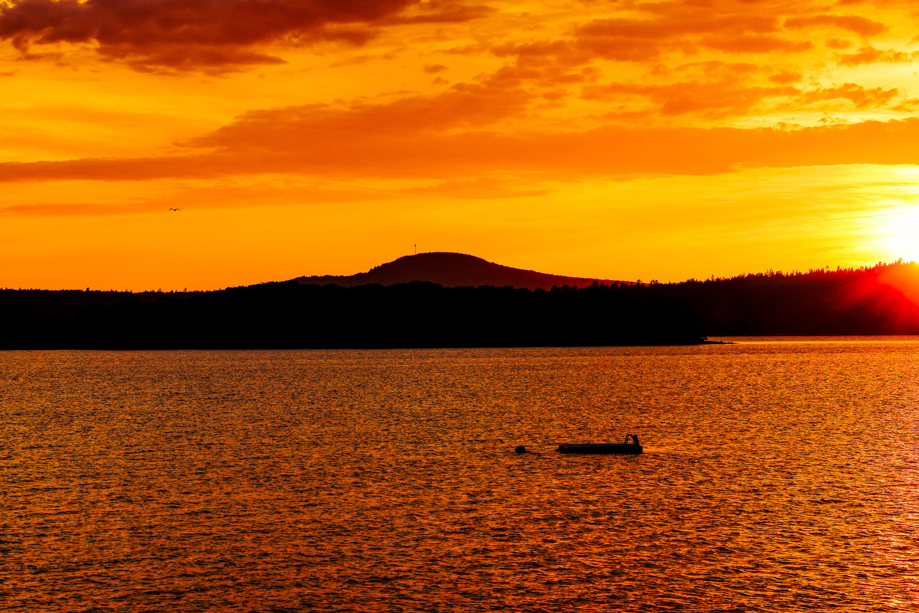 1513 Newbury Neck Road Surry, ME 04684 - Photo 2 of 10 20250719-_Z4A9884-HDR