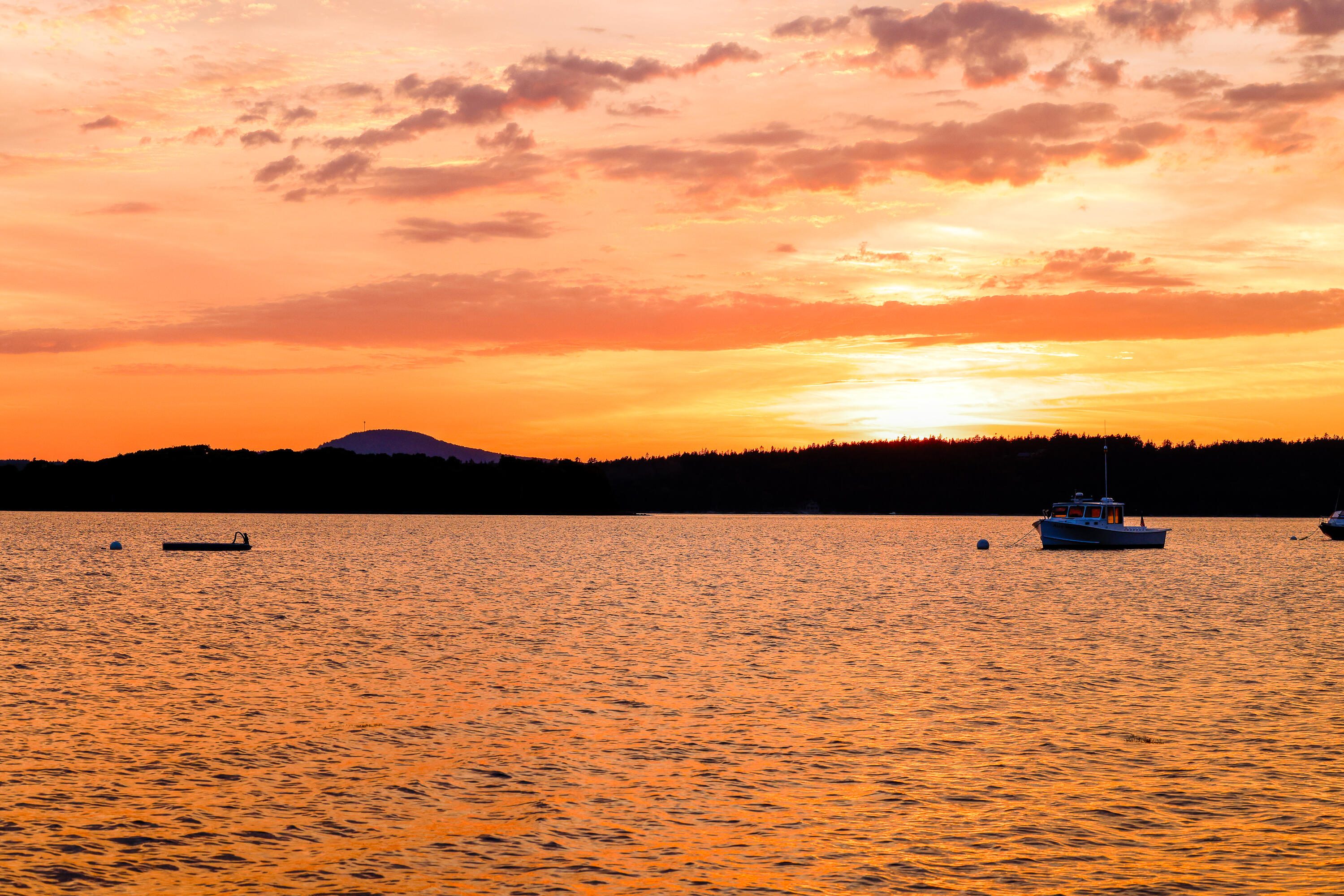 1513 Newbury Neck Road Surry, ME 04684 - Photo 9 of 10 20250719-_Z4A9919-HDR