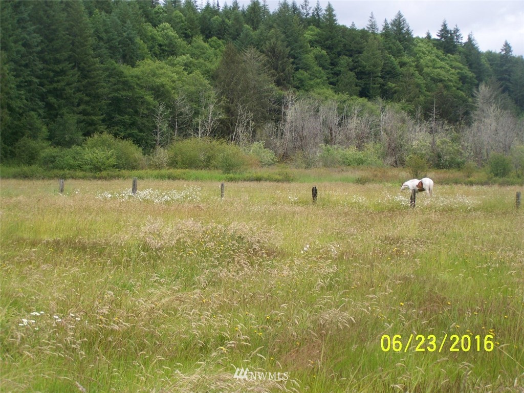 18 Half Moon Creek Road Lebam, WA 98577 - Photo 14 of 14 Gallery Image 14
