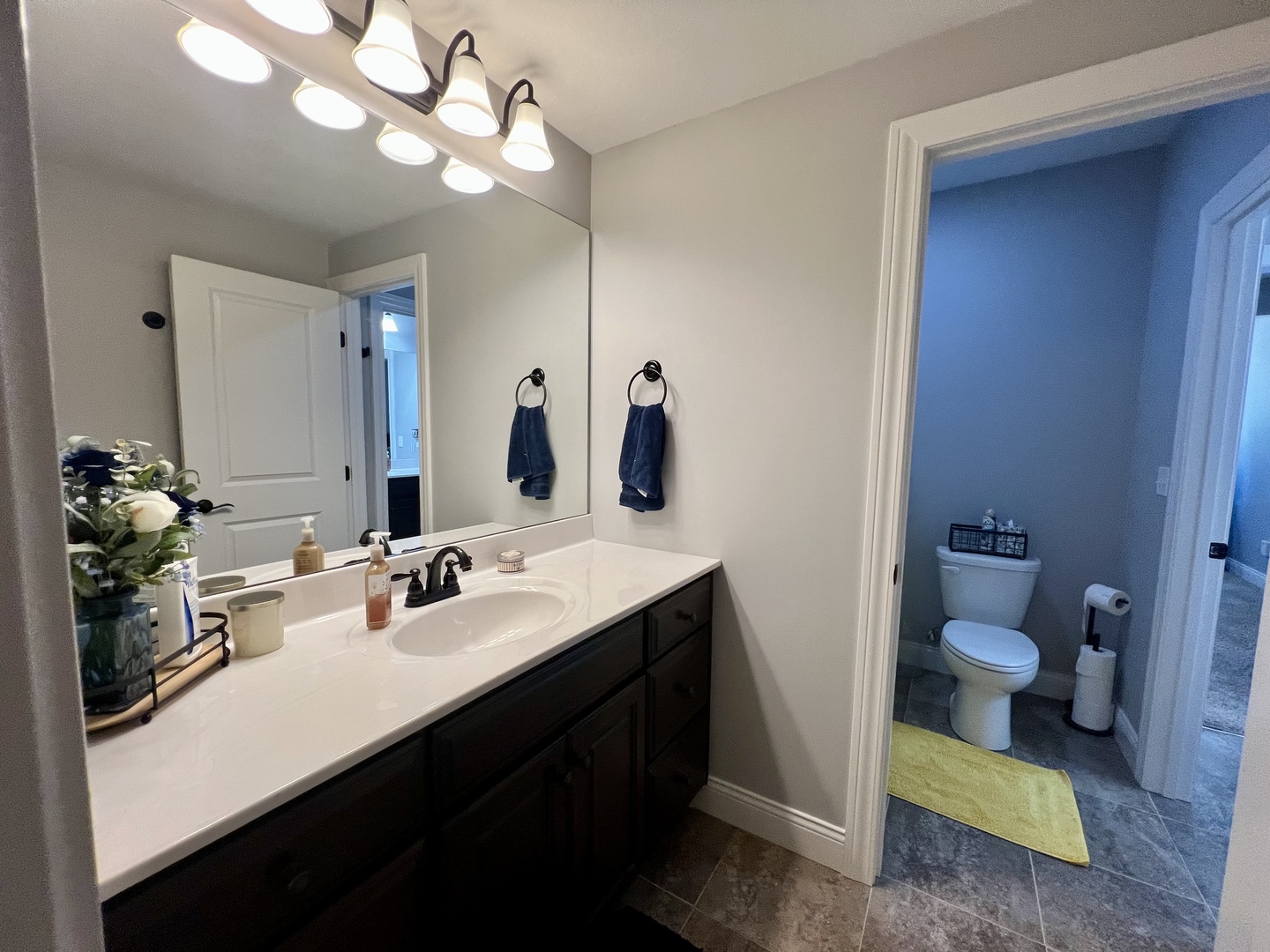 2112 Slade Lane Mahomet, IL 61853 - Photo 56 of 68 a bathroom with a sink a toilet and a mirror