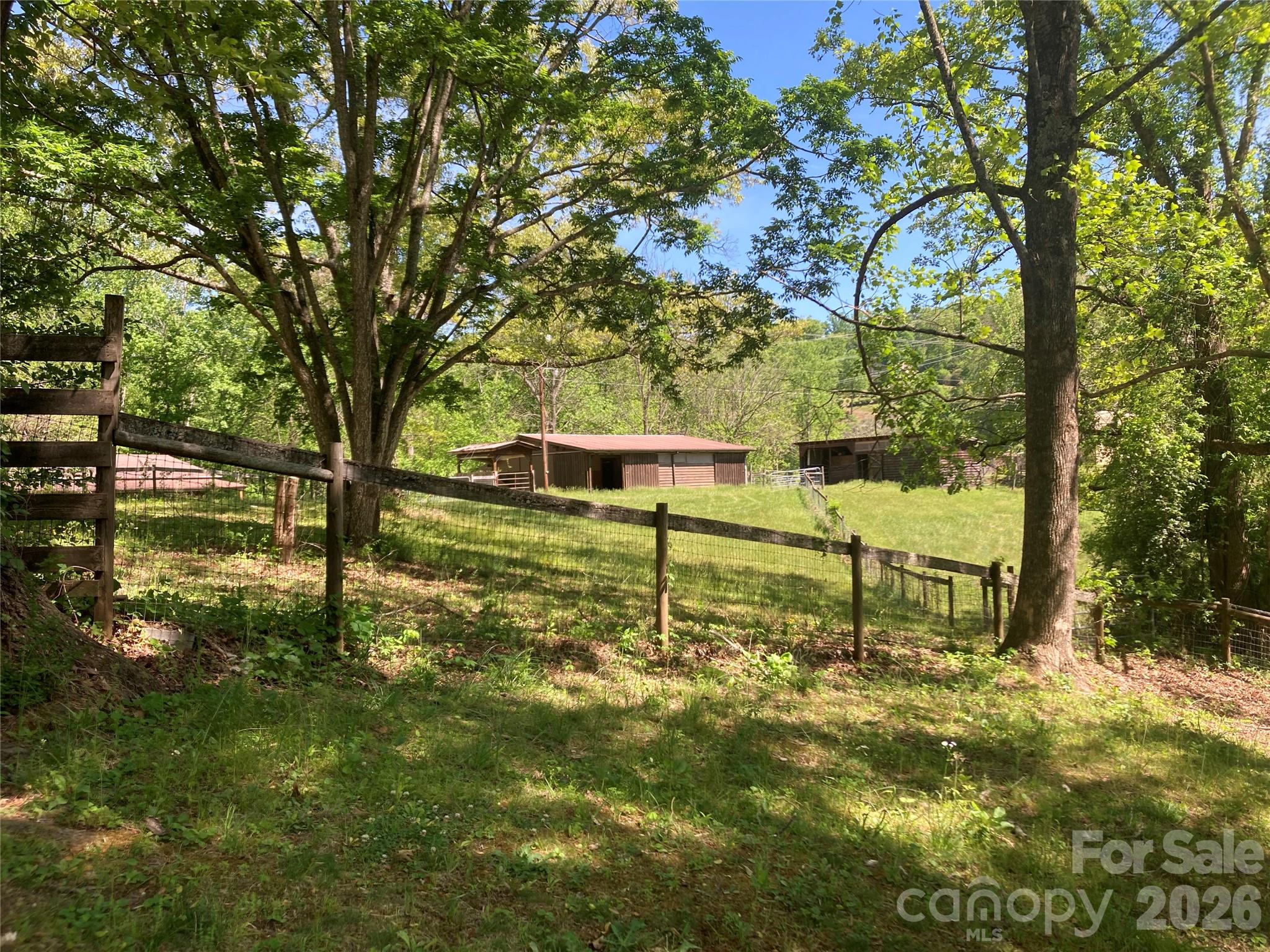 344 South Mills River Road Mills River, NC 28759 - Photo 3 of 33 a view of yard with tree