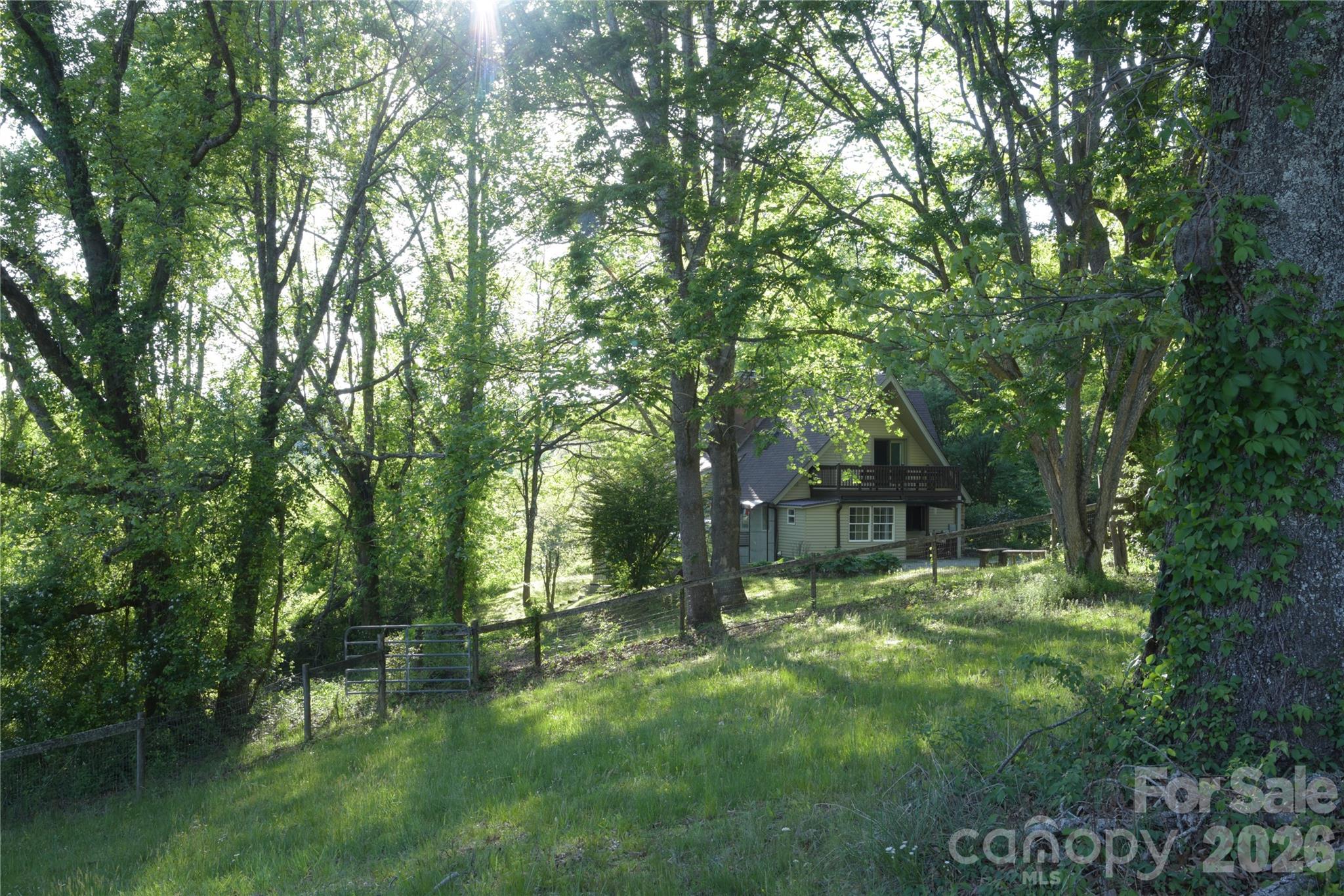 344 South Mills River Road Mills River, NC 28759 - Photo 32 of 33 a view of outdoor space and yard