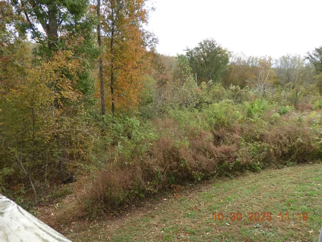 a kitchen with stainless steel appliances granite countertop a refrigerator a sink and dishwasher