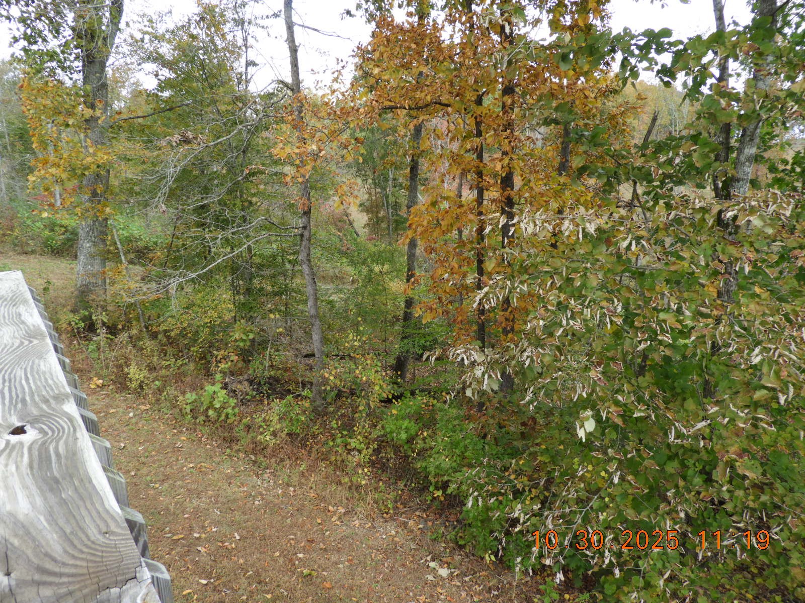 155 Poling Drive Pulaski, TN 38478 - Photo 13 of 36