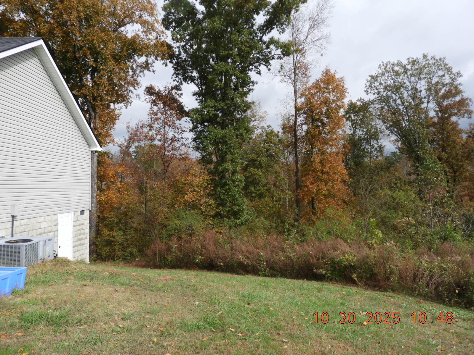 155 Poling Drive Pulaski, TN 38478 - Photo 10 of 36 a view of a backyard