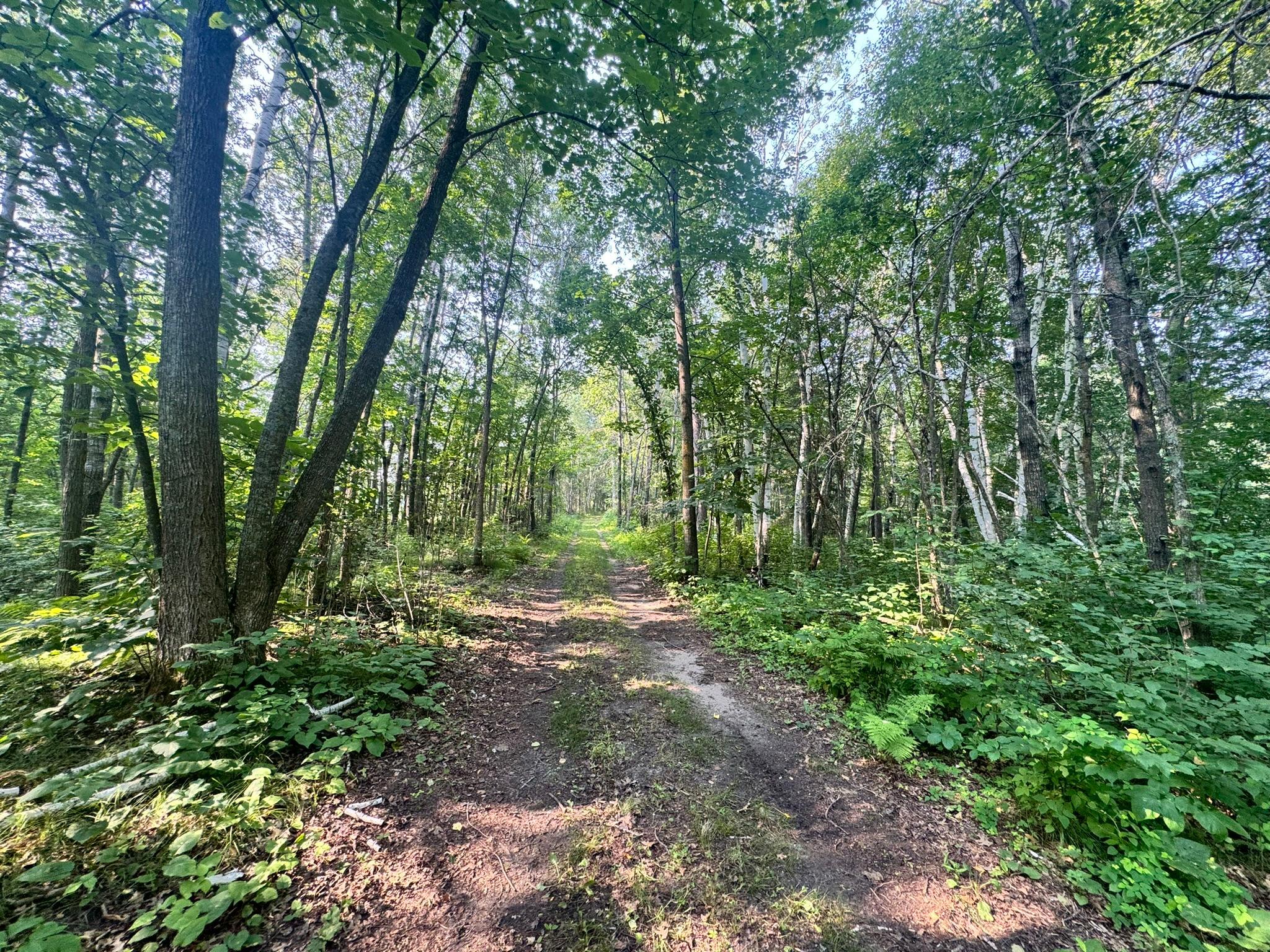 20891 Highway 64 Akeley, MN 56433 - Photo 26 of 53