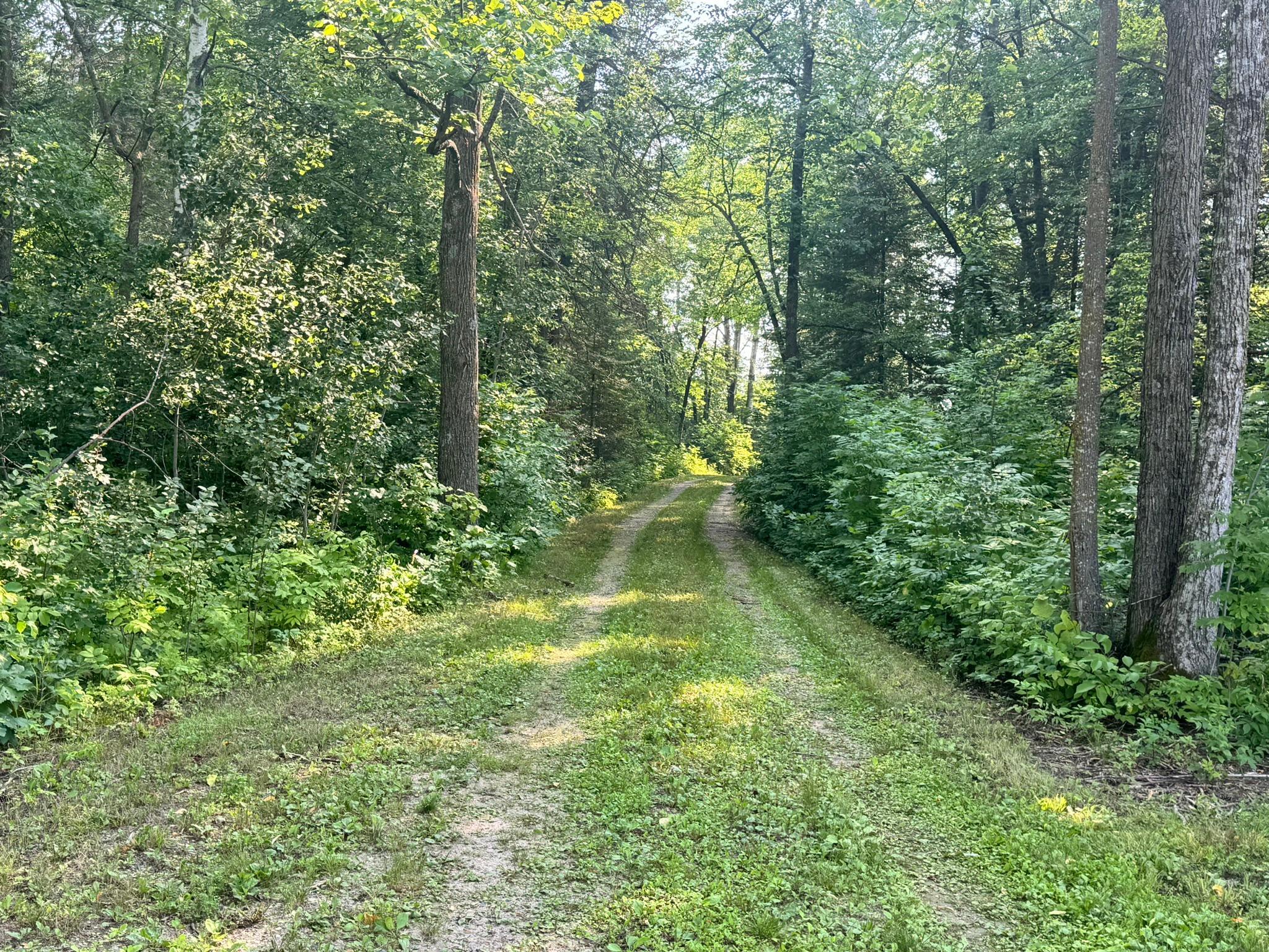 20891 Highway 64 Akeley, MN 56433 - Photo 30 of 53