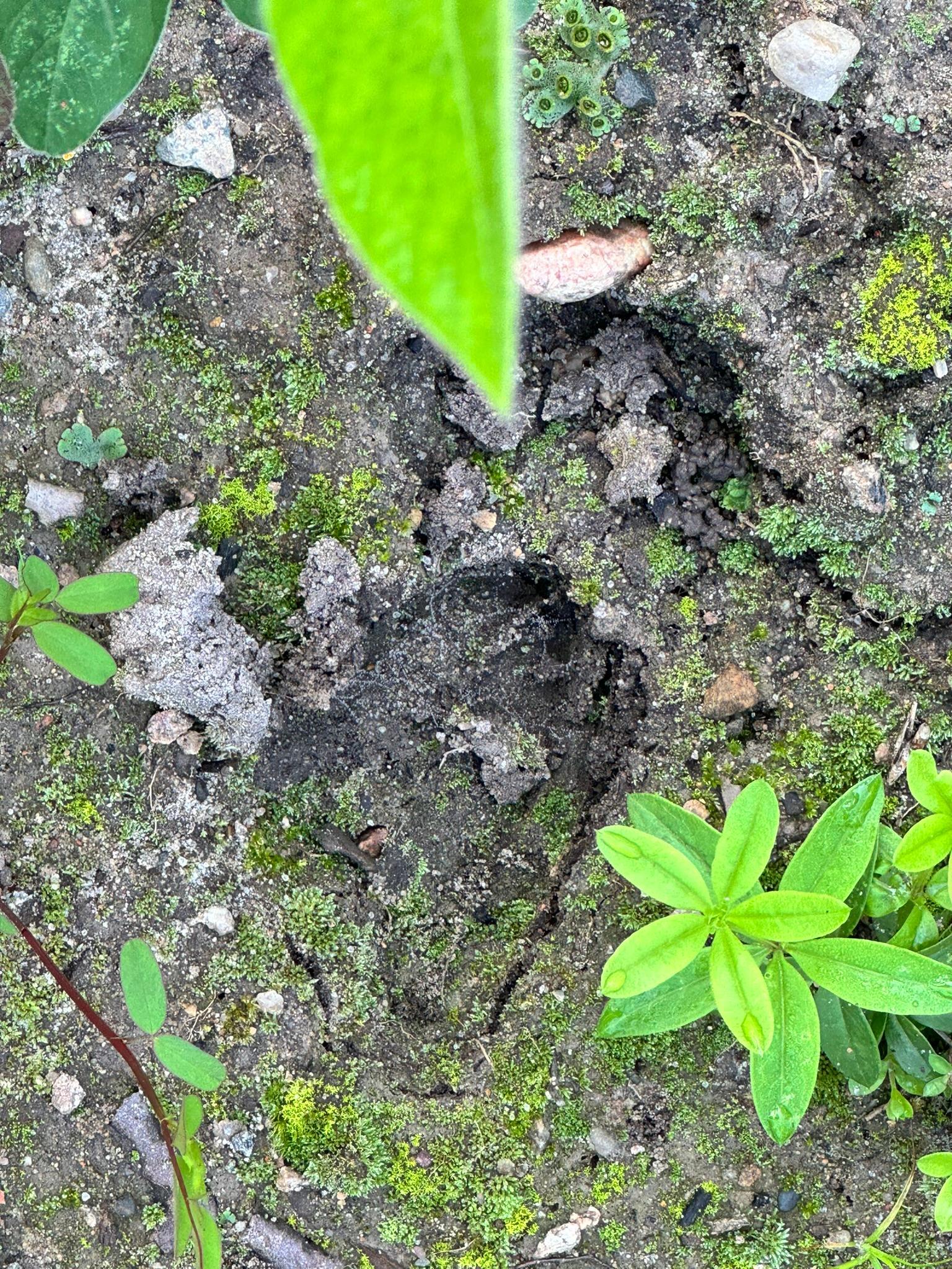 20891 Highway 64 Akeley, MN 56433 - Photo 33 of 53