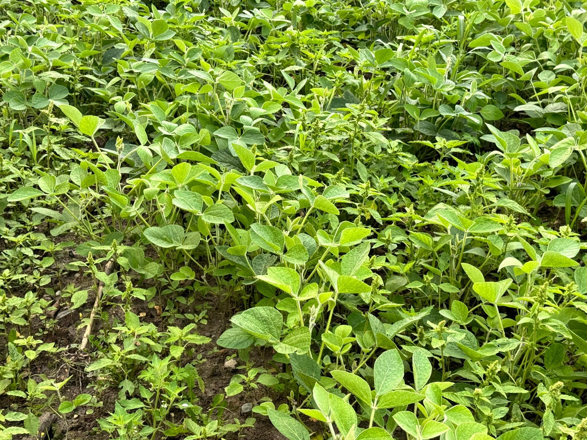 20891 Highway 64 Akeley, MN 56433 - Photo 37 of 53