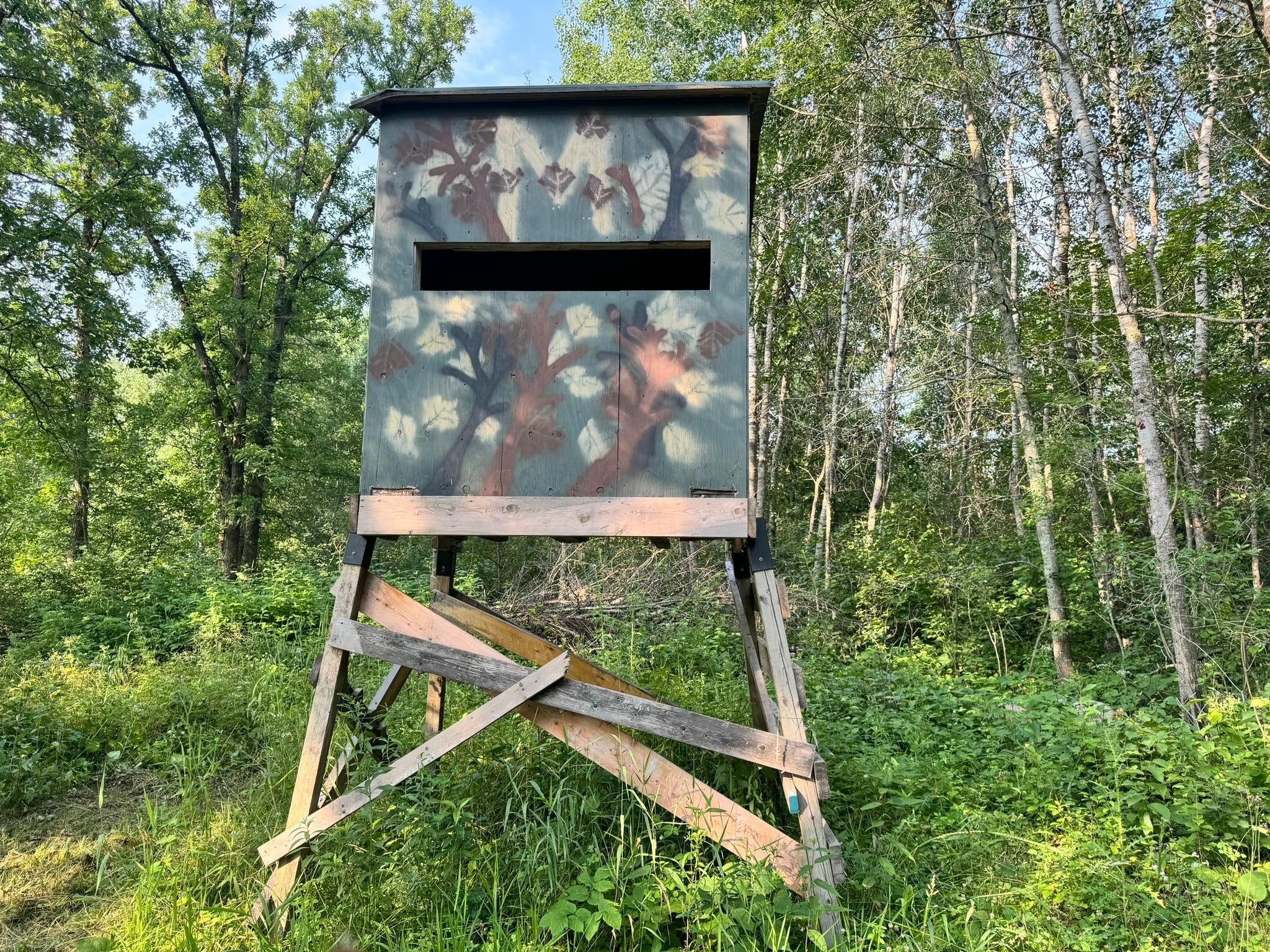 20891 Highway 64 Akeley, MN 56433 - Photo 4 of 53