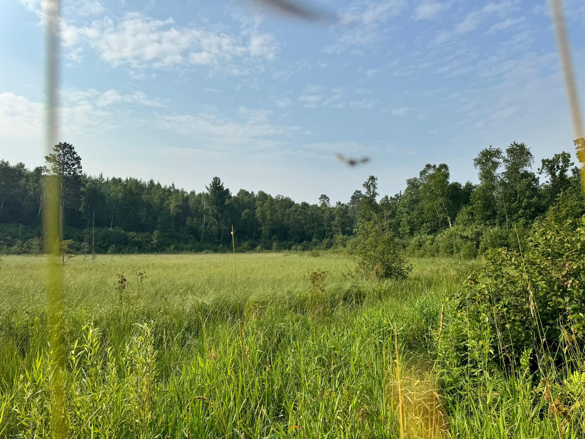 20891 Highway 64 Akeley, MN 56433 - Photo 44 of 53